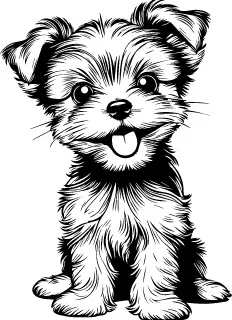 Affenpinscher illustration