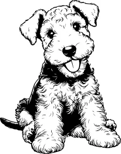 Airedale Terrier illustration