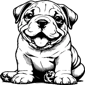 American Bulldog illustration