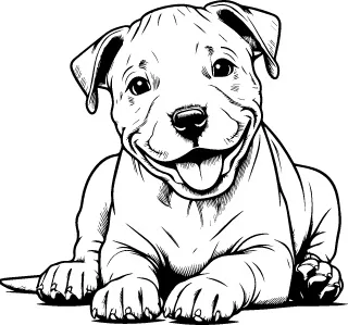 American Staffordshire Terrier illustration
