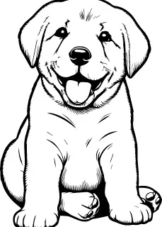 Anatolian Shepherd Dog illustration