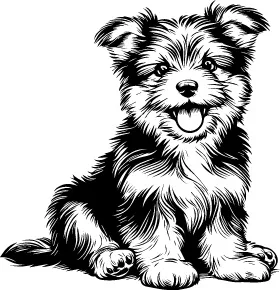 Australian Terrier illustration