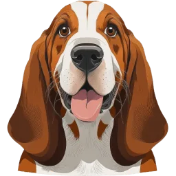 Basset Hound illustration