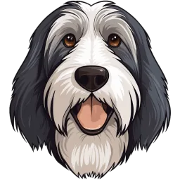 Bearded Collie illustration