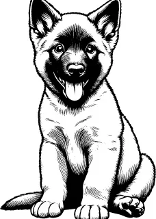 Belgian Laekenois illustration