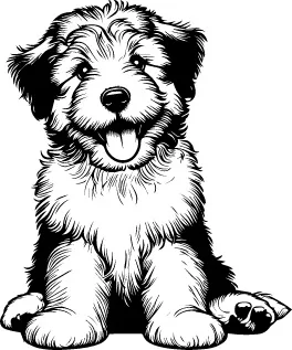 Bergamasco Sheepdog illustration