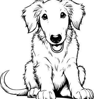 Borzoi illustration