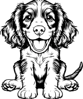 Boykin Spaniel illustration