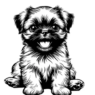 Brussels Griffon illustration