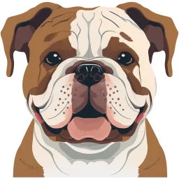 Bulldog illustration