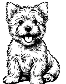 Cairn Terrier illustration