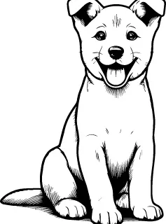 Canaan Dog illustration