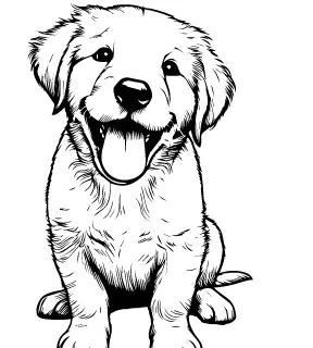 Chesapeake Bay Retriever illustration