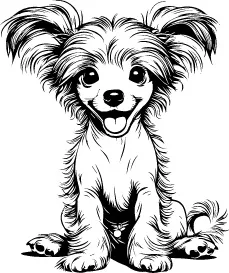 Chinese Crested illustration