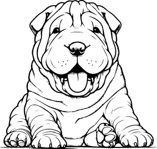 Chinese Shar-Pei illustration