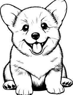 Corgi (Pembroke) illustration