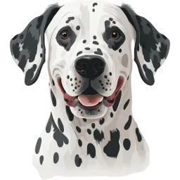 Dalmatian illustration