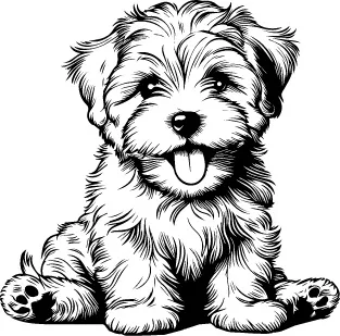 Dandie Dinmont Terrier illustration