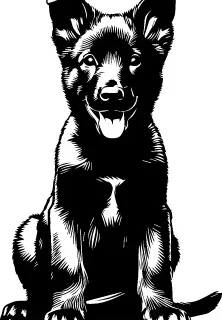 Dutch Shepherd illustration