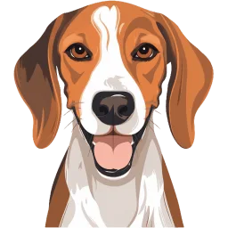 English Foxhound illustration