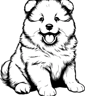 Finnish Lapphund illustration