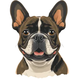 French Bulldog illustration