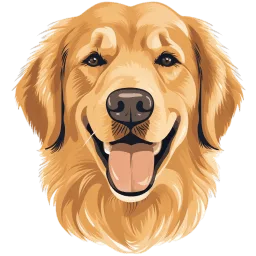 Golden Retriever illustration