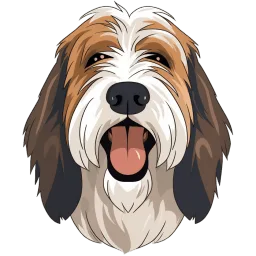 Grand Basset Griffon Vendeen illustration