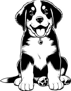 Greater Swiss Mountain Dog illustration