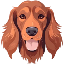 Irish Setter illustration