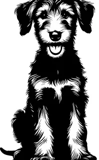 Irish Wolfhound illustration