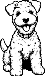 Lakeland Terrier illustration