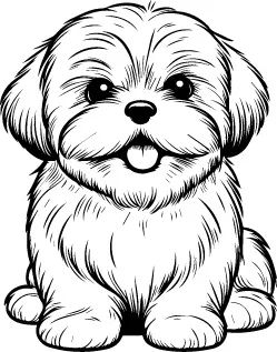 Lhasa Apso illustration