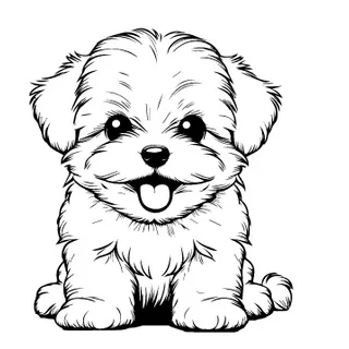 Maltese illustration