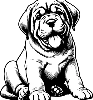 Spanish Mastiff illustration