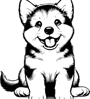 Norwegian Elkhound illustration