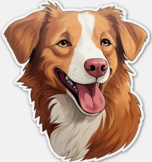 Nova Scotia Duck Tolling Retriever illustration