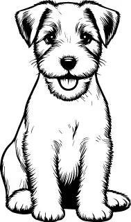 Parson Russell Terrier illustration