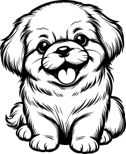 Pekingese illustration