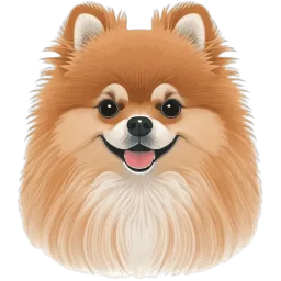 Pomeranian illustration