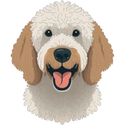 Poodle (Standard) illustration