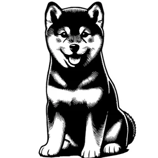 Shiba Inu illustration
