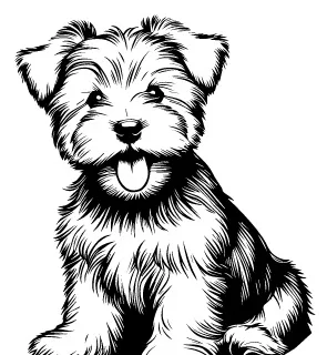 Skye Terrier illustration