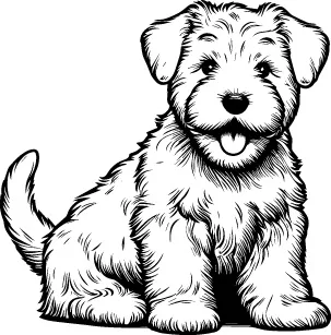Soft Coated Wheaten Terrier illustration