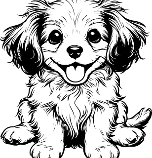 Tibetan Spaniel illustration