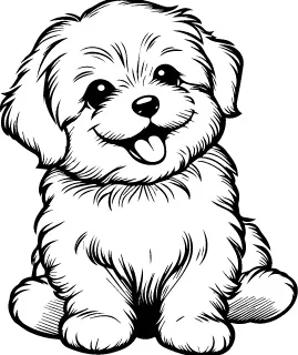 Tibetan Terrier illustration