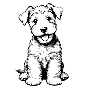 Welsh Terrier illustration