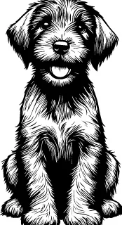 Wirehaired Pointing Griffon illustration