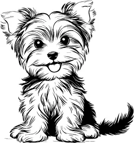 Yorkshire Terrier illustration