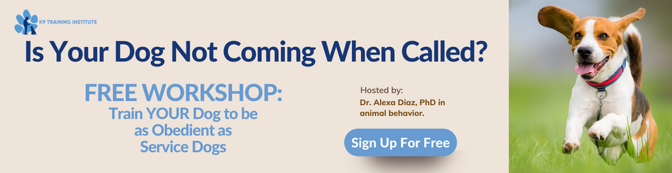 K9 Training Institute